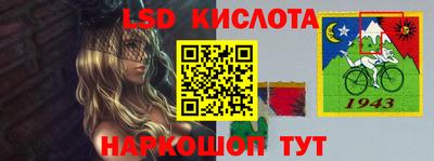 гашик Шебекино