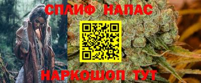 гашик Шебекино