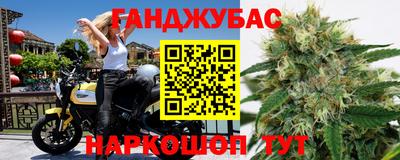 гашик Шебекино