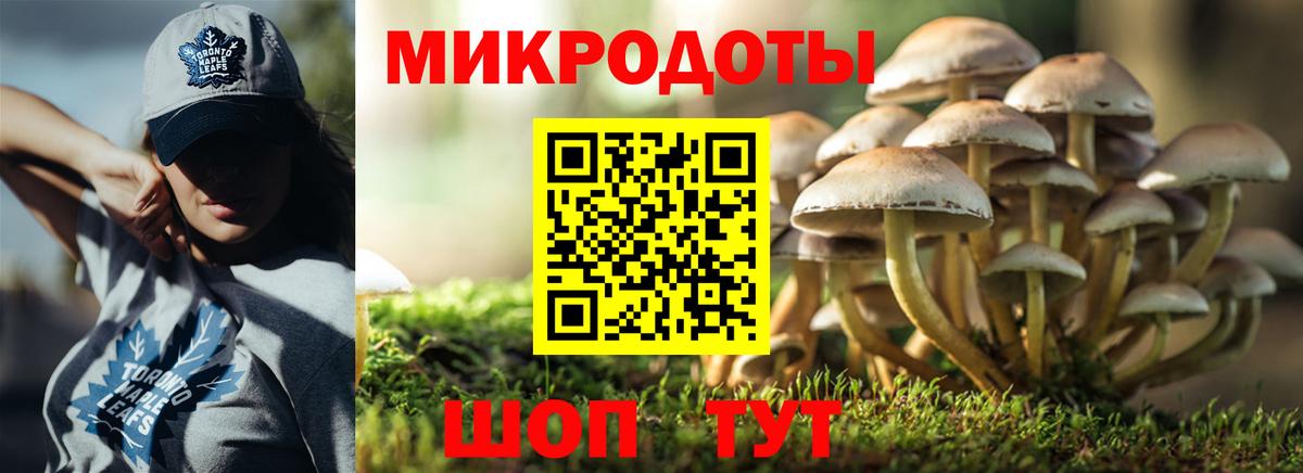 Псилоцибиновые грибы ЛСД  Вход с VPN  Североморск 